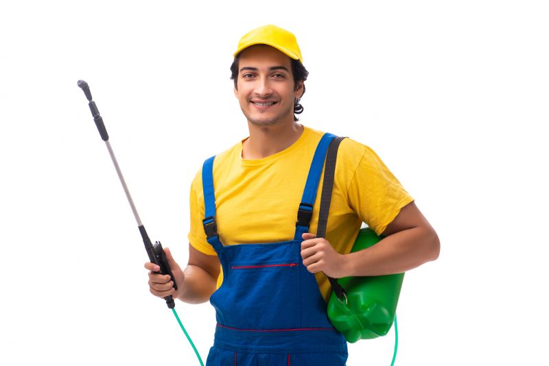 Yellowjacket Extermination